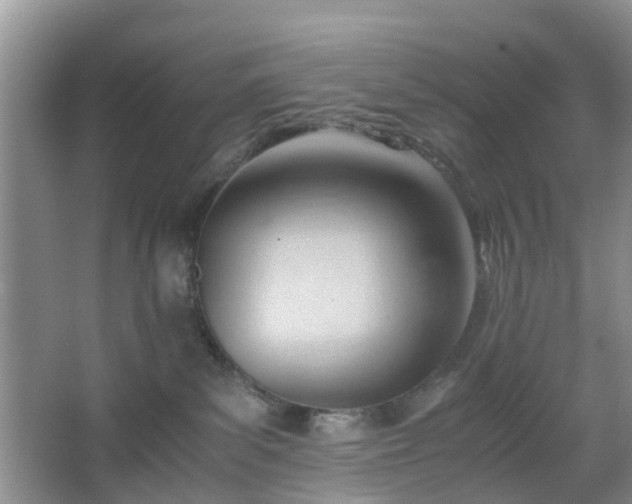 X0000067830139200604171137