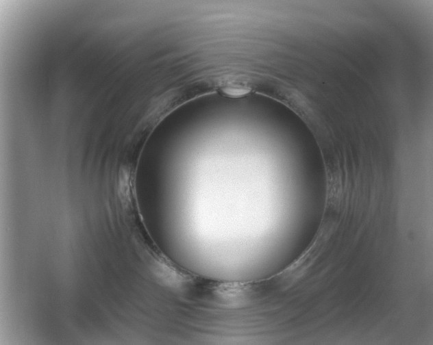 X0000067830142200604171136