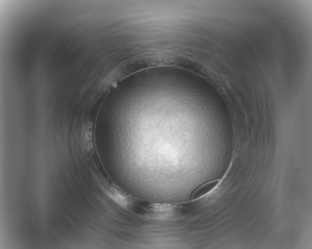 X0000067830144200604171136