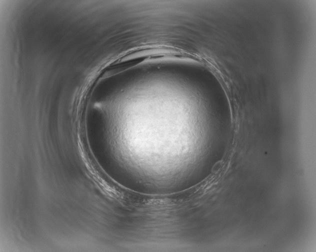 X0000067830145200604171136