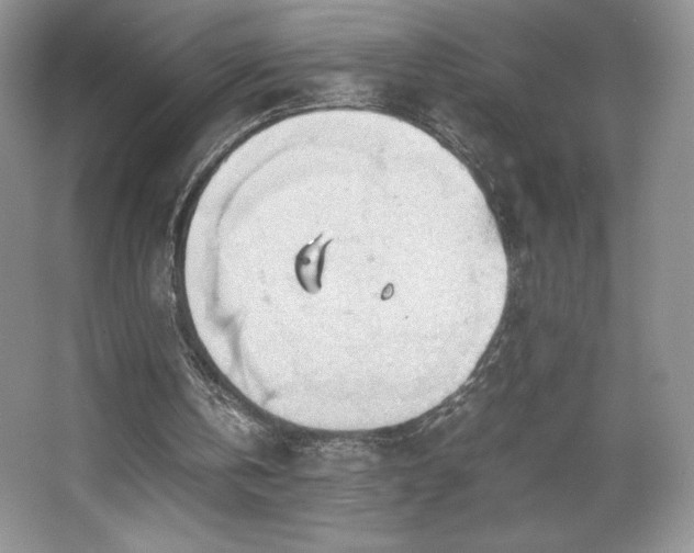 X0000067830146200604171136