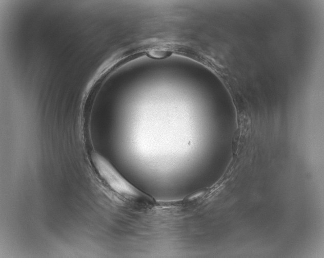 X0000067830150200604171136