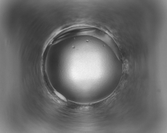 X0000067830152200604171136