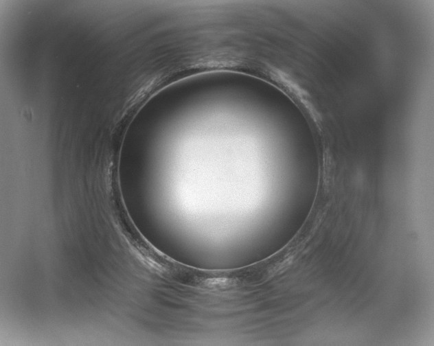 X0000067830153200604171136