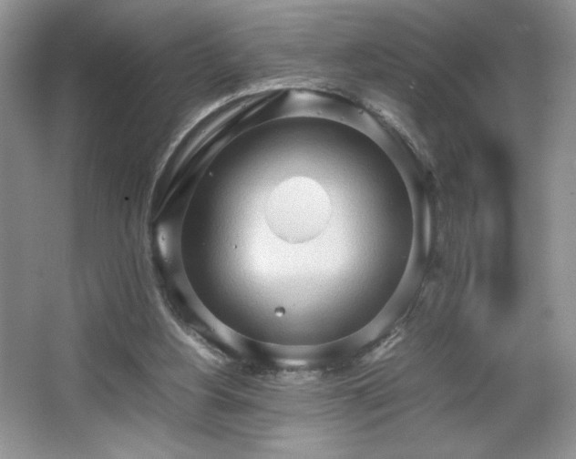 X0000067830156200604171136