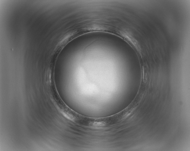 X0000067830157200604171136