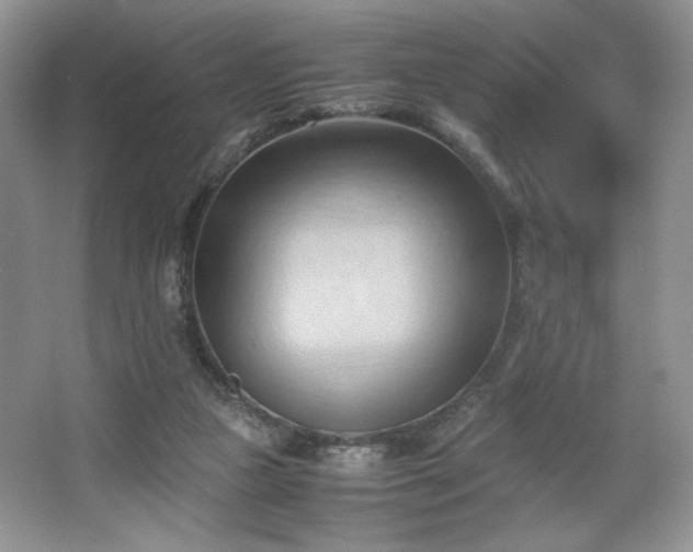 X0000067830161200604171136