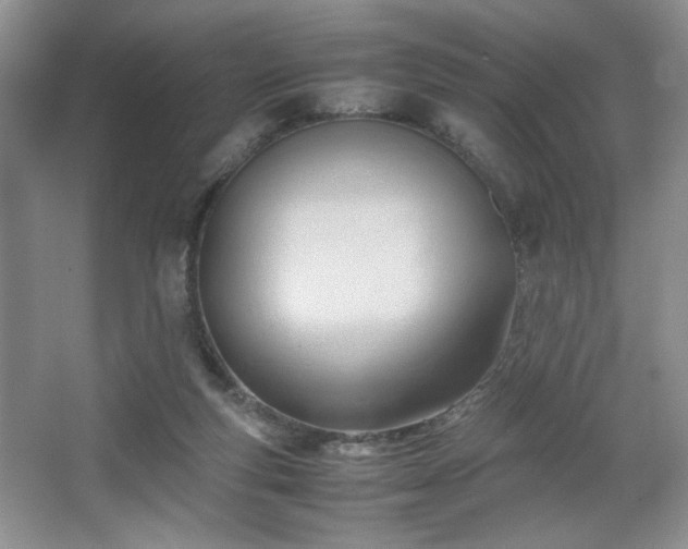 X0000067830163200604171136