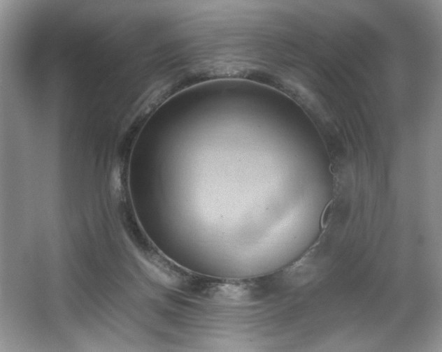 X0000067830166200604171136