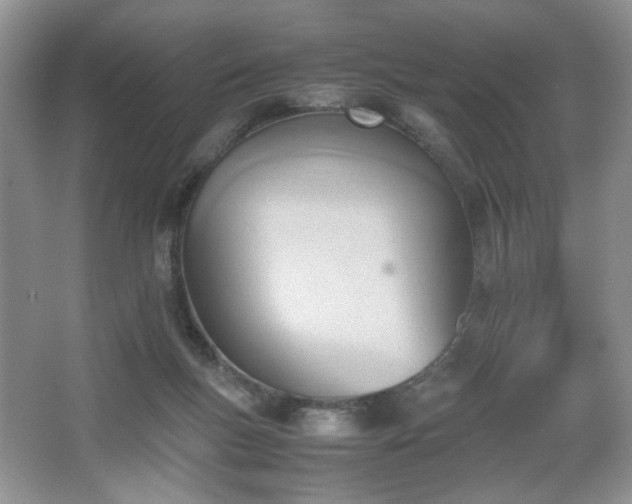 X0000067830167200604171136