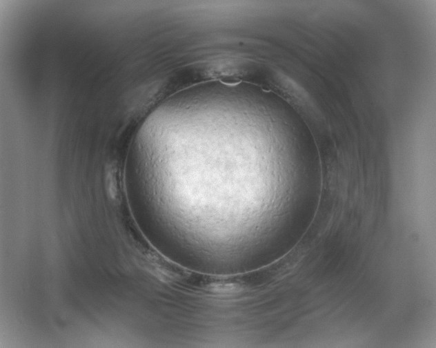 X0000067830169200604171136