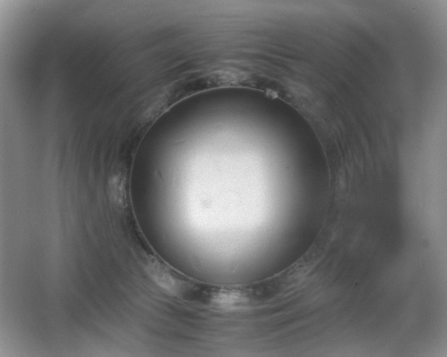 X0000067830177200604171136