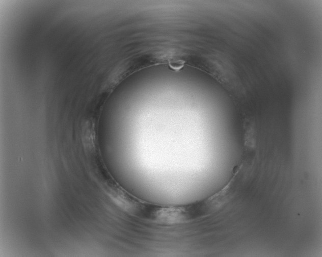 X0000067830179200604171136