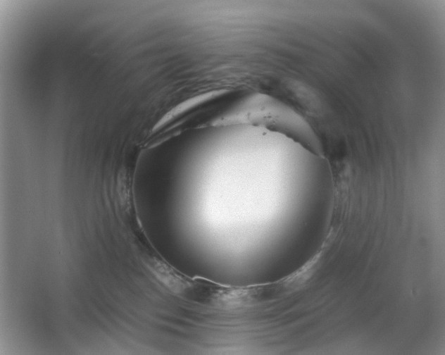 X0000067830186200604171136