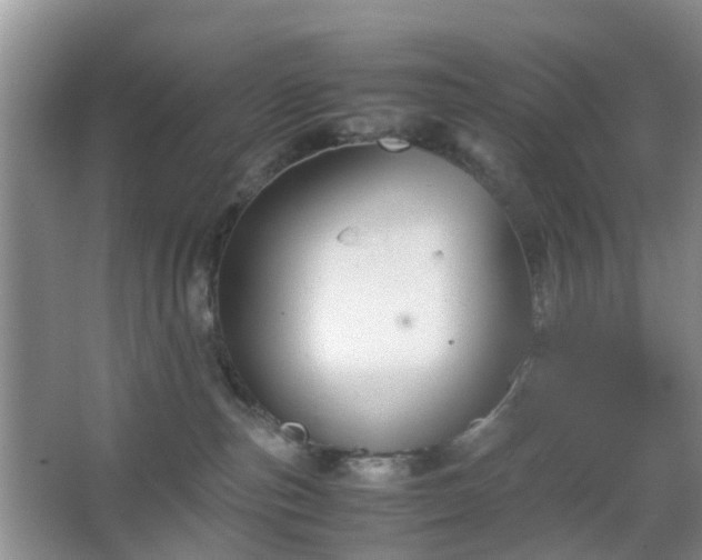 X0000067830187200604171136