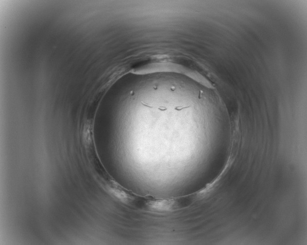 X0000067830191200604171136