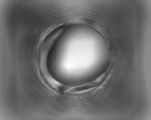 X0000067830193200604171136