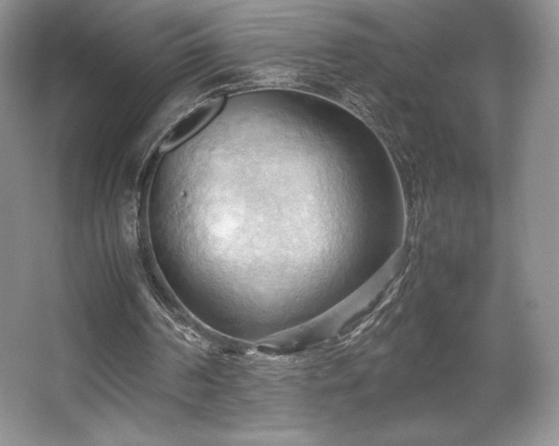 X0000067830194200604171136