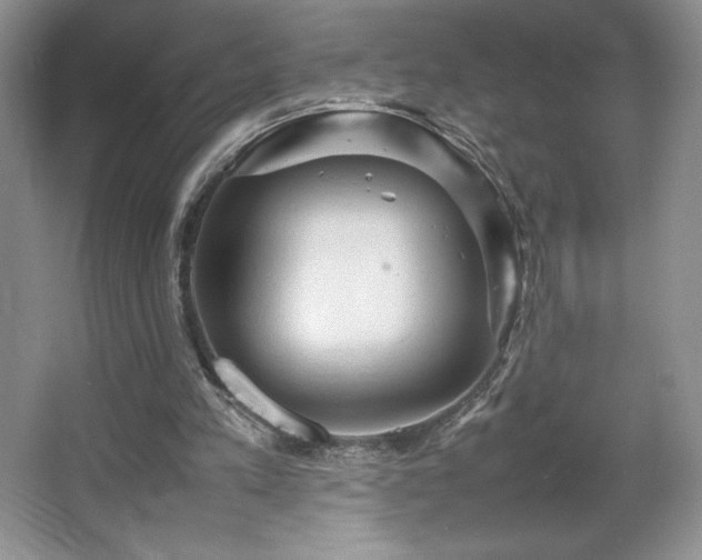 X0000067830197200604171136