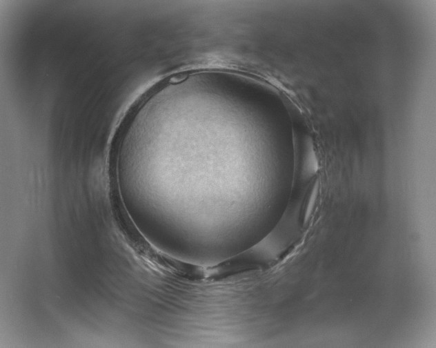 X0000067830200200604171135