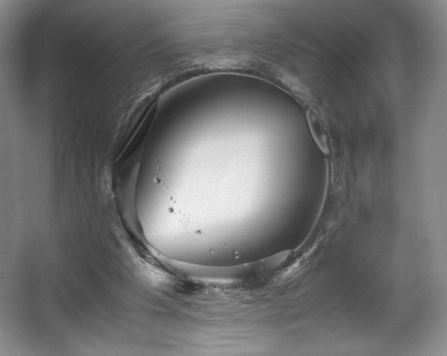 X0000067830201200604171135