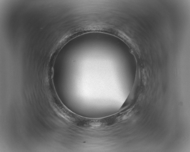 X0000067830203200604171135