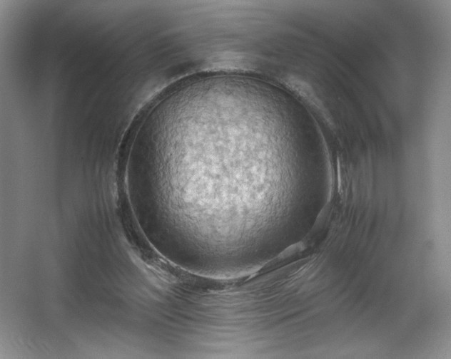 X0000067830204200604171135