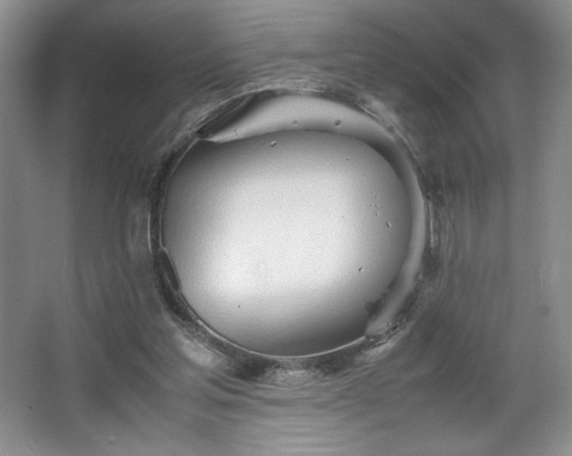 X0000067830205200604171135