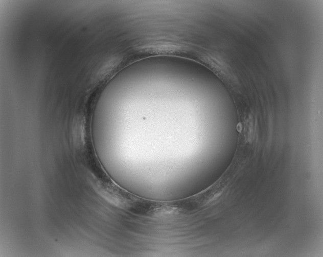 X0000067830206200604171135