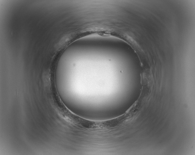 X0000067830207200604171135