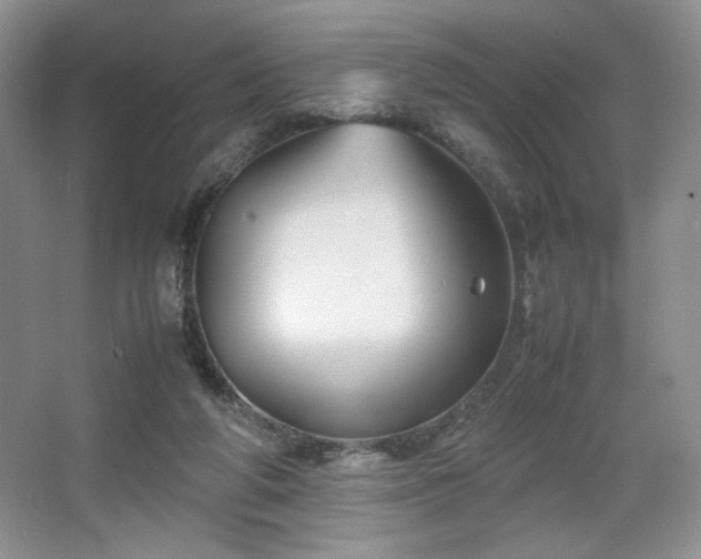 X0000067830210200604171135