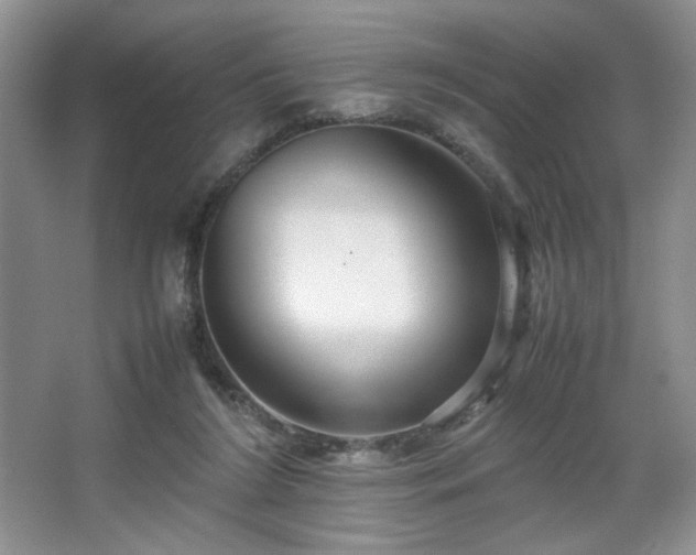 X0000067830212200604171135