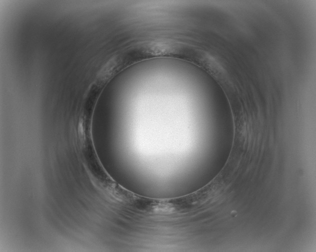 X0000067830214200604171135