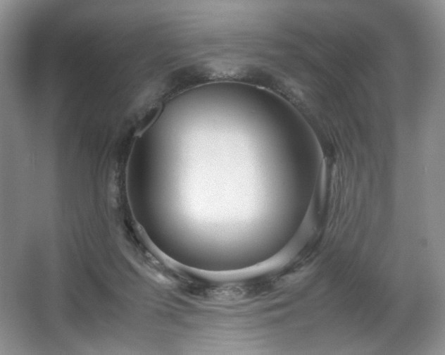 X0000067830215200604171135