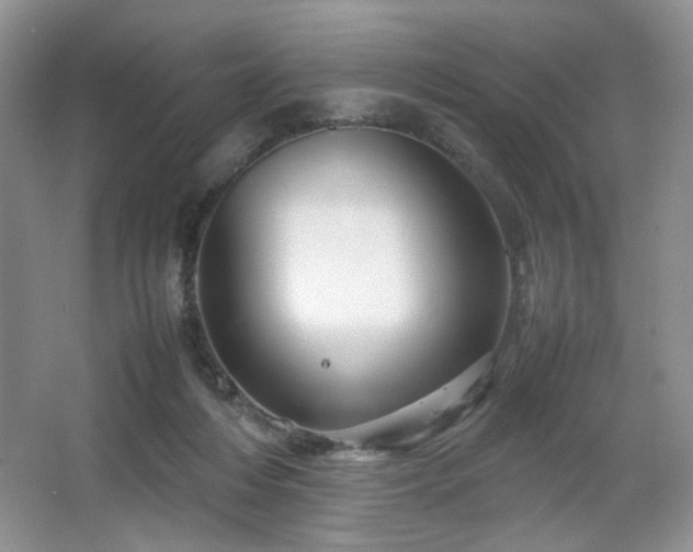 X0000067830216200604171135