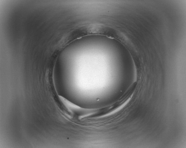 X0000067830217200604171135