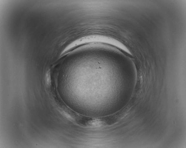 X0000067830219200604171135