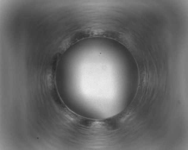 X0000067830222200604171135