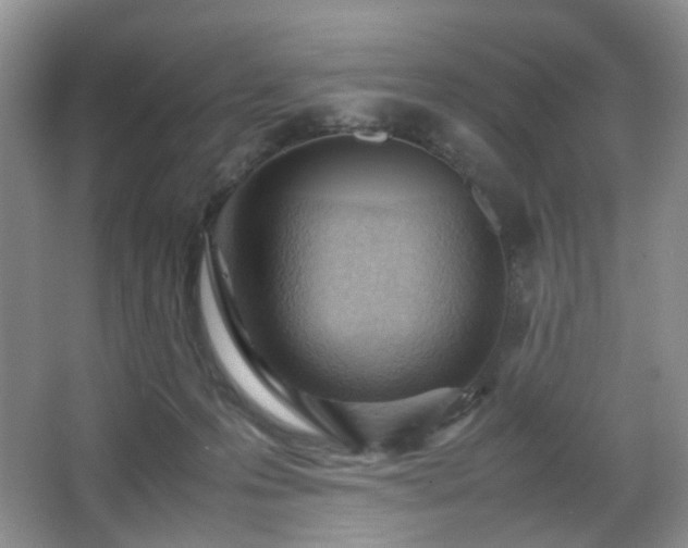 X0000067830223200604171135