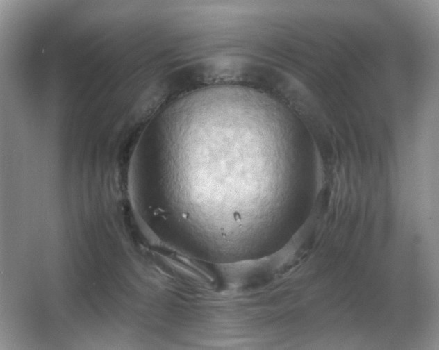 X0000067830224200604171135