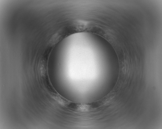 X0000067830226200604171135