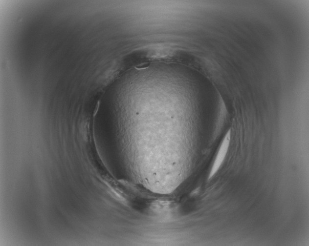 X0000067830227200604171135