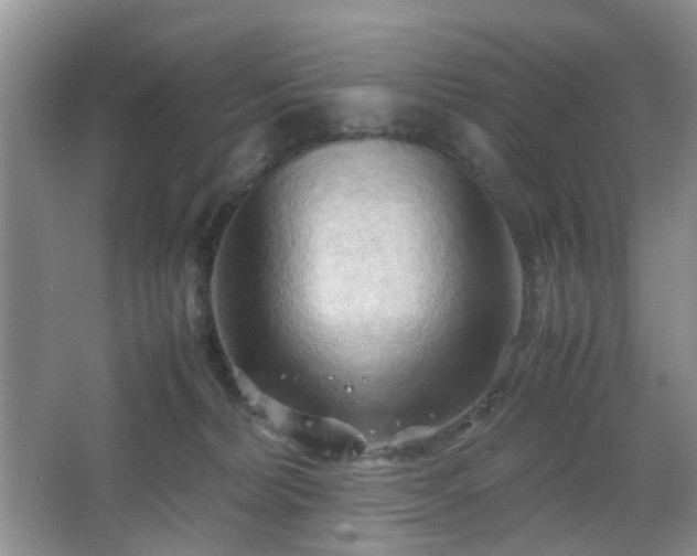 X0000067830228200604171135