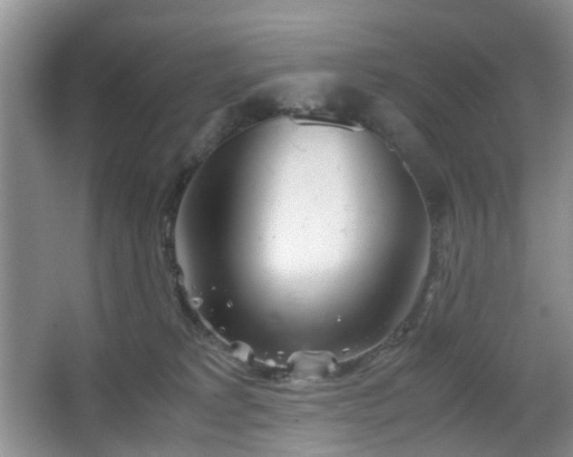 X0000067830229200604171135