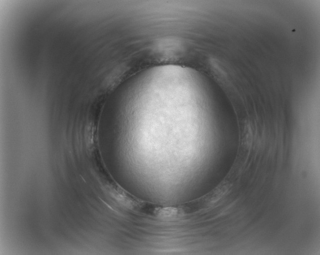 X0000067830230200604171135