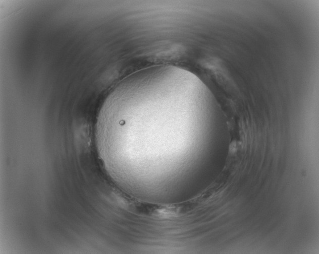 X0000067830232200604171135