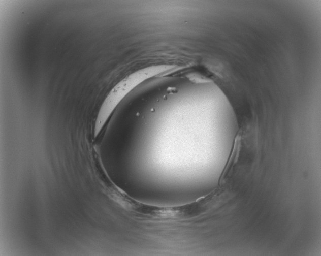 X0000067830233200604171135