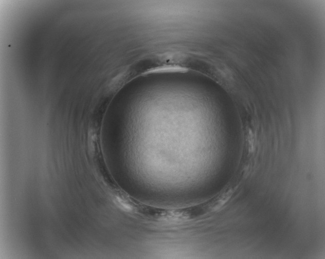 X0000067830235200604171135