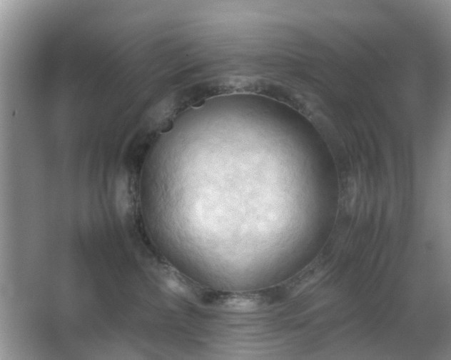 X0000067830236200604171135