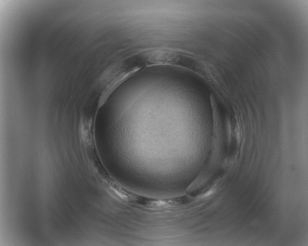 X0000067830239200604171135